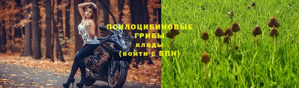 эйфоретик Козловка