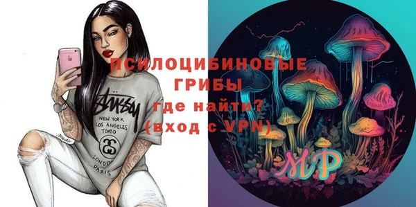тгк Усмань