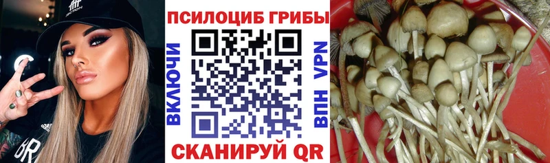 Галлюциногенные грибы мухоморы Спас-Деменск